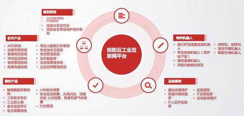 數字化轉型聯姻 一家數科公司的成功密碼