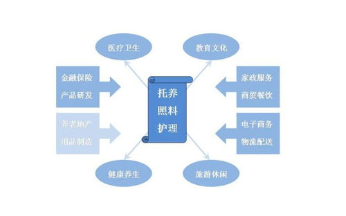 互聯網養老服務系統 信息服務的創新與變革