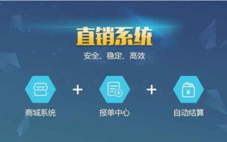 軟件批發(fā)與供應 郵編商務網(wǎng)youbian.com的全面信息技術咨詢服務